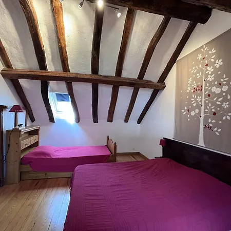 Vakantiehuis Maison De Charme 5 Chambres, Jardin A - Fr-1-812-133